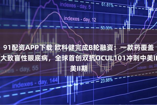 91配资APP下载 欧科健完成B轮融资：一款药覆盖三大致盲性眼底病，全球首创双抗OCUL101冲刺中美II期