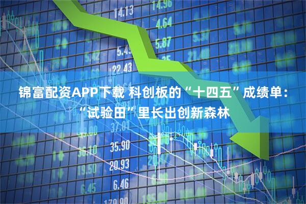锦富配资APP下载 科创板的“十四五”成绩单：“试验田”里长出创新森林