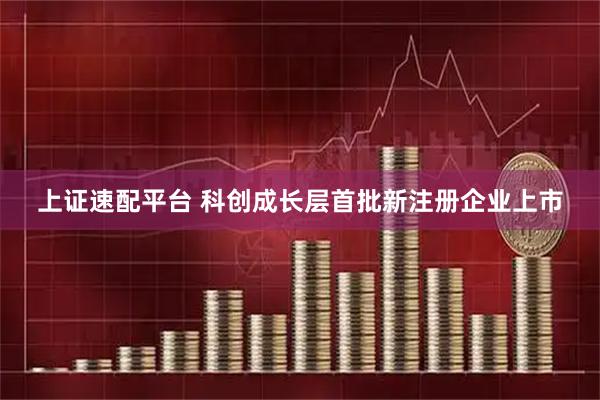 上证速配平台 科创成长层首批新注册企业上市