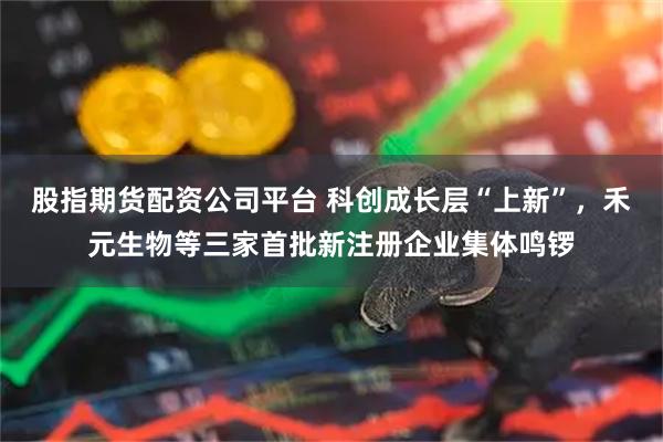 股指期货配资公司平台 科创成长层“上新”，禾元生物等三家首批新注册企业集体鸣锣