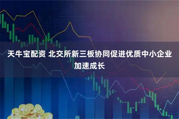 天牛宝配资 北交所新三板协同促进优质中小企业加速成长