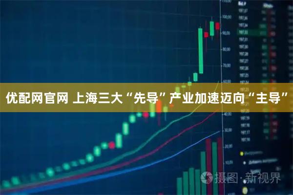 优配网官网 上海三大“先导”产业加速迈向“主导”