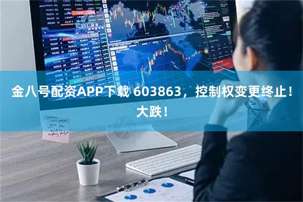 金八号配资APP下载 603863，控制权变更终止！大跌！