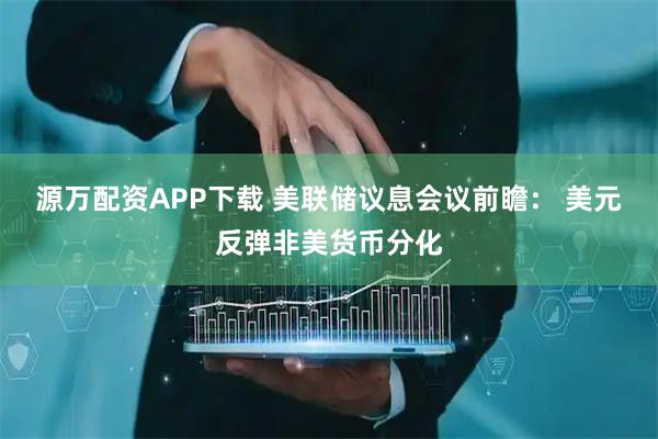 源万配资APP下载 美联储议息会议前瞻： 美元反弹非美货币分化